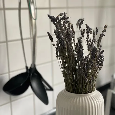 Charmante In Der Suedvorstadt *