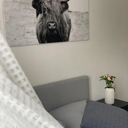 Charmante In Der Suedvorstadt *