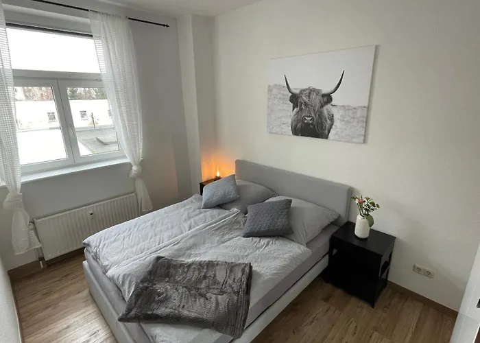 Apartment Charmante In Der Suedvorstadt