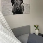 Charmante In Der Suedvorstadt *