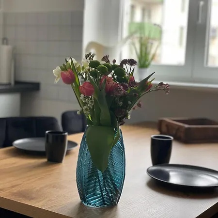 Apartment Charmante In Der Suedvorstadt Leipzig