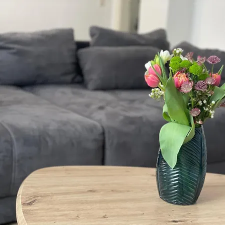 Charmante In Der Suedvorstadt