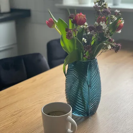 Charmante In Der Suedvorstadt Apartment Leipzig