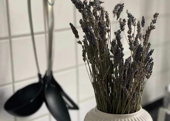 Charmante In Der Suedvorstadt *