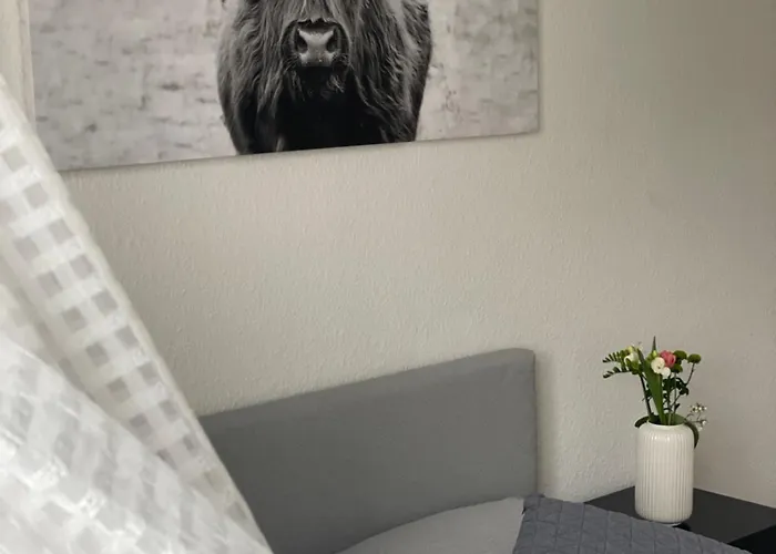 Charmante In Der Suedvorstadt *