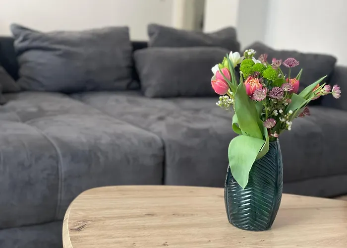 Charmante In Der Suedvorstadt